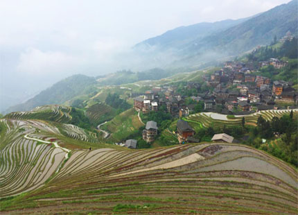 rizières en terrasses de Longji