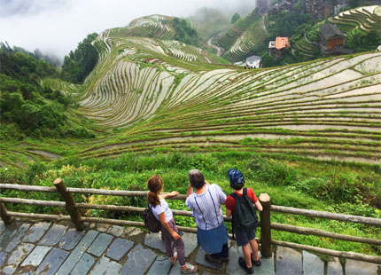 rizières en terrasse de Longji