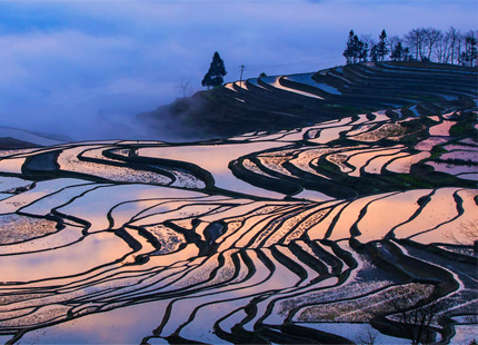 rizière en terrase de Yuanyang