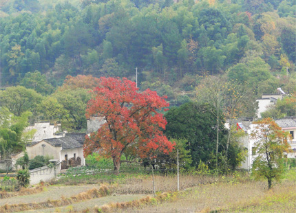 village de Tachuan