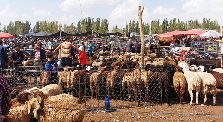 Bazar en Kashgar