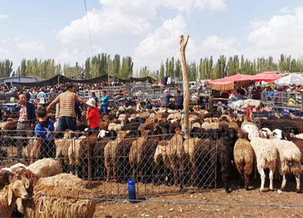 Bazar en Kashgar