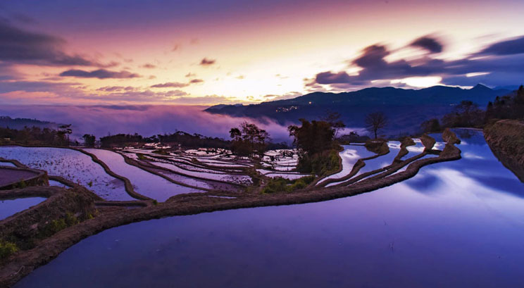 rizière en terrasse de Yuanyang