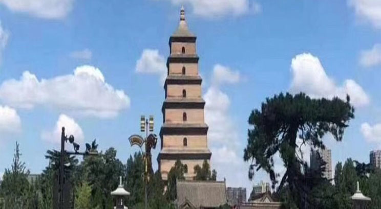 gran pagoda de oca salvaje