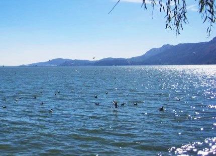 Lago dianchi
