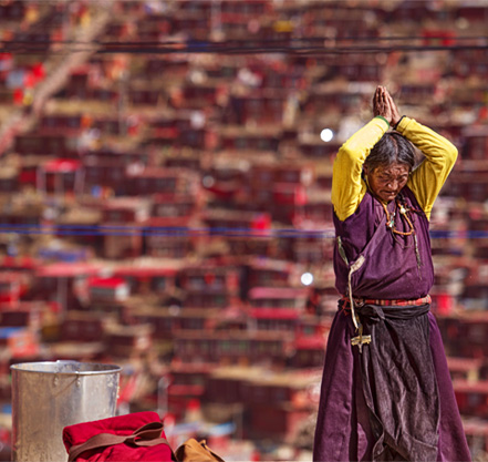 tibetana