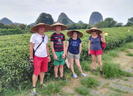 voyageurs dans la plantation du thé Guilin