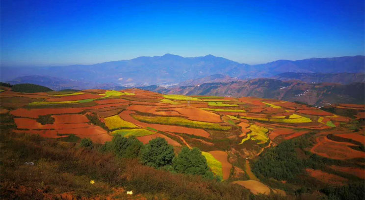 Terre rouge de Dongchuan