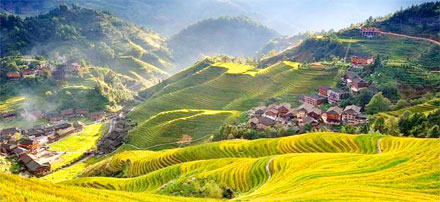 rizière en terrasse de Longji