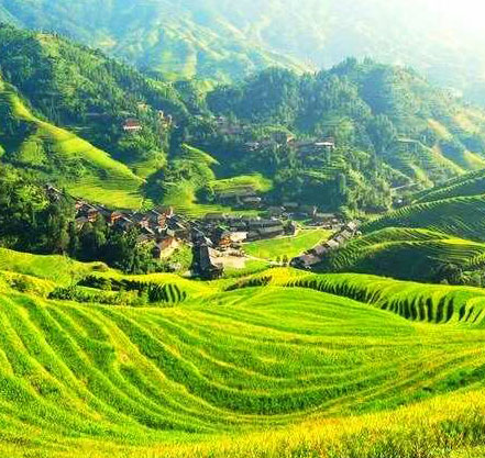 des rizières en terrasse de Dazhai