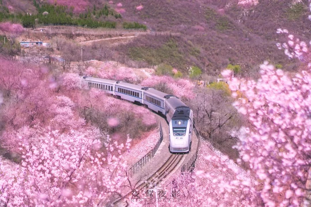 China Train Travel