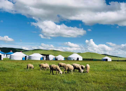 Estepa en mongolia interior